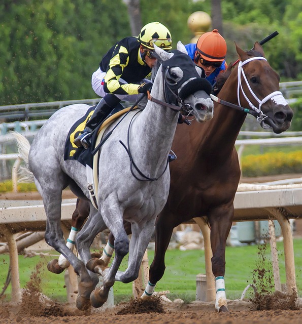 国电影市场 国电影市场